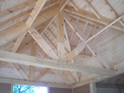 Rustiek Eiken Poolgebouw Dak Detail